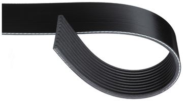 Bild von Poly-V-Riemen Supercharger